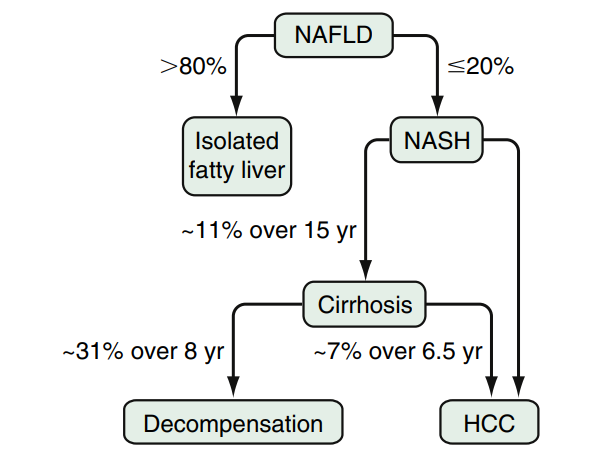 脂肪肝疾病進展